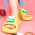 flip flops and sandals