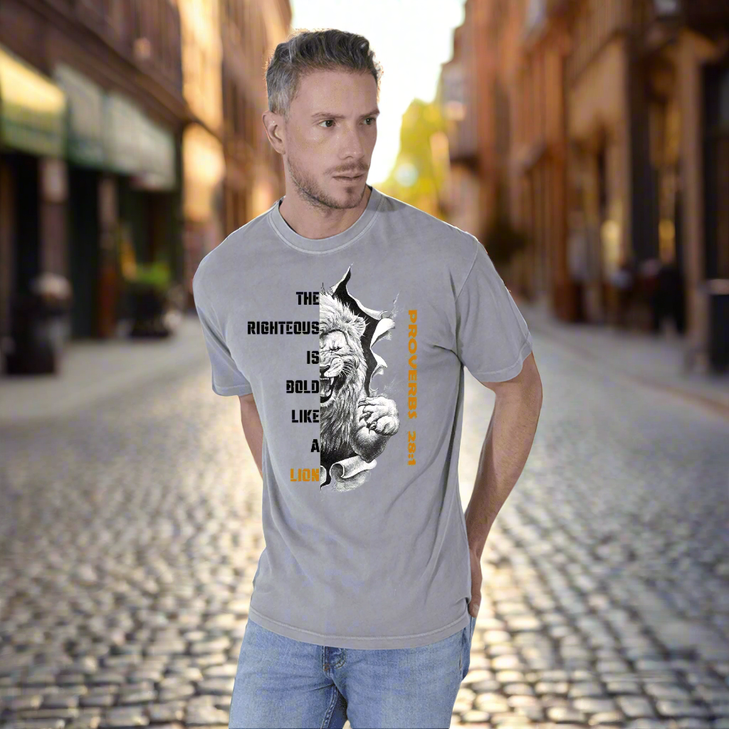 Faded Denim T-Shirt