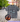 T-shirt, loose fit, oversize