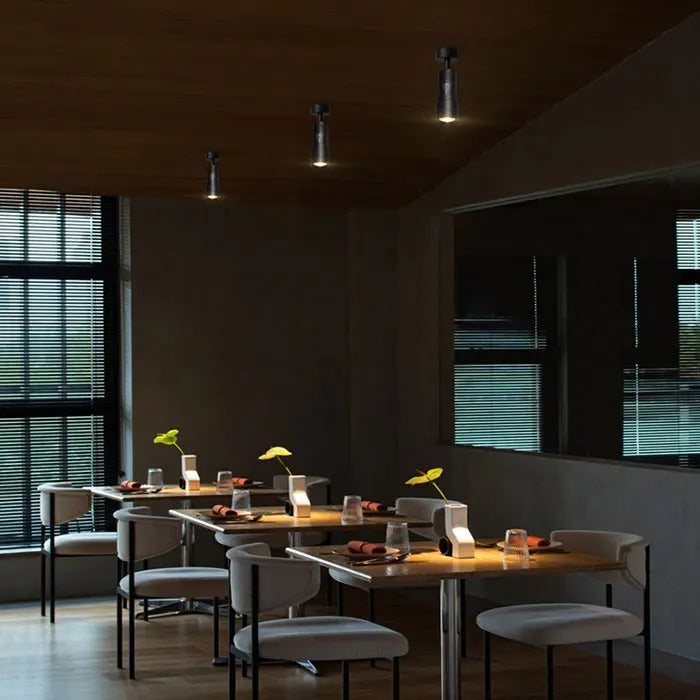 Verstelbare 5 6 8 10 Smalle stralingshoek Zwart Wit LED Focus Plafond