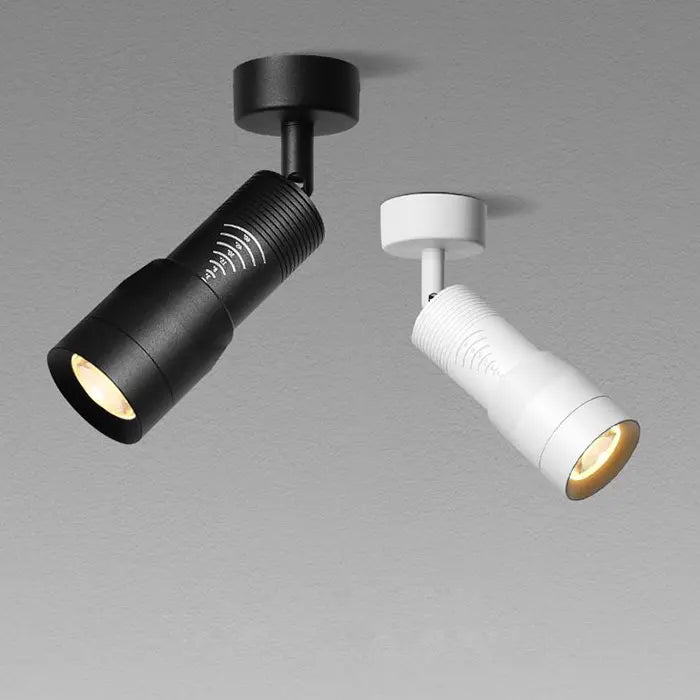 Verstelbare 5 6 8 10 Smalle stralingshoek Zwart Wit LED Focus Plafond