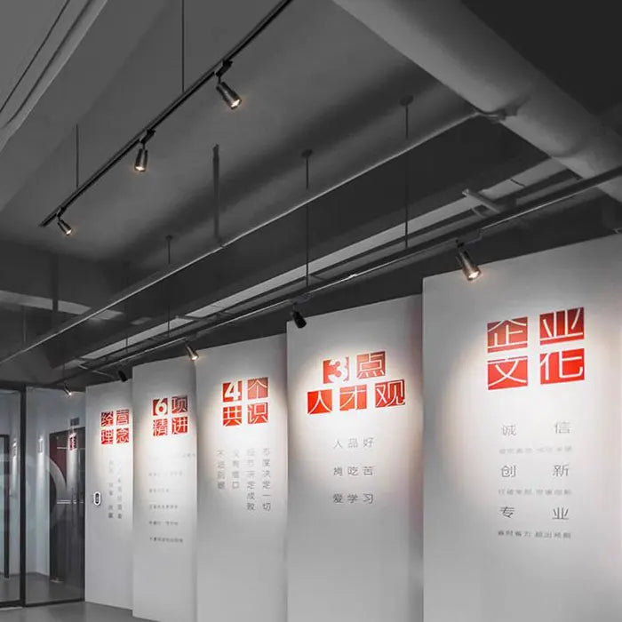 Verstelbare 5 6 8 10 Smalle stralingshoek Zwart Wit LED Focus Plafond