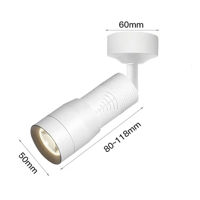 Verstelbare 5 6 8 10 Smalle stralingshoek Zwart Wit LED Focus Plafond