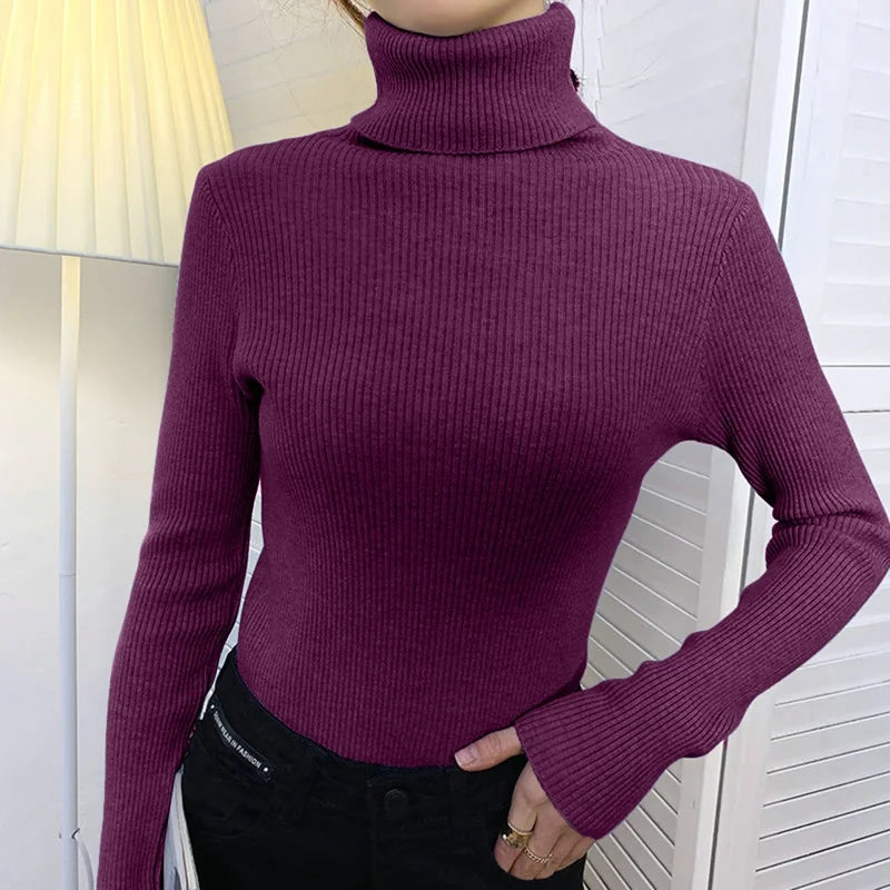 Heliar Dames Turtleneck Trui Gebreide Zachte Truien Kasjmier Truien Basic
