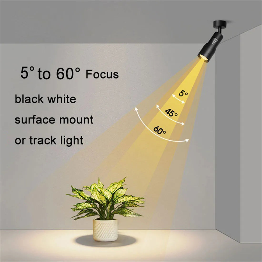 Verstelbare 5 6 8 10 Smalle stralingshoek Zwart Wit LED Focus Plafond