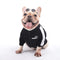Kleding