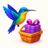 Complimentary shipping from Colibri