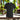 T-shirt - Black with your own Print