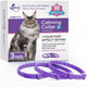 3Pc Cat 38cm Purple