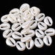 100p 12x15mm