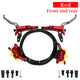 NO rotor red