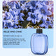 Blue Wind Chime