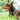 Slip P-ketting hondenwurghalsband voor kleine, middelgrote en grote honden, zware Titan trainingshalsbanden, 2 rijen, chroom, verstelbare hondenhalsband