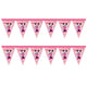 10pcs pennants 1