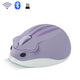 2.4G Bluetooth 1