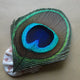 big eye 4-6cm 1