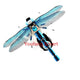 Dragonfly enge