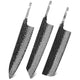 H3PCS-DP1