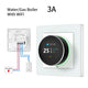 WiFi WaterGas Boiler