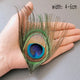big eye 4-6cm