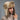 Russia Winter Real fur Hat Unisex Outdoor Windproof Super Warm Real Rabbit Fur Bomber Hats Natural
