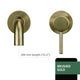 Borstel Goud-260