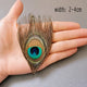 small eye2-4cm