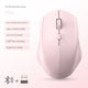 BT 2.4G Pink