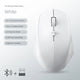 BT 2.4G White
