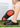 2025 Men Women EVA Chef Shoes Non-slip Waterproof Oil-proof Shoes Comfortable Workers Slippers Outdoor Fishing Shoes Size 36-45