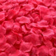 Pink Red