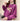Autumn Winter High Collar Long Sleeve Fleece Thick Oversize Streetwear Female Sweatshirt Fake 2
