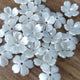 50p 15mm