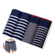 New-B10-12pack1