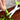 3-5 Layer Kitchen Scissors - Multi-Functional Stainless Steel Herb Cutter for Pepper, Scallion  Laver, Duty Cooking Shears