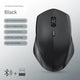 BT 2.4G Black