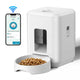 2L- WiFi wit