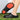 2025 Men Women EVA Chef Shoes Non-slip Waterproof Oil-proof Shoes Comfortable Workers Slippers Outdoor Fishing Shoes Size 36-45