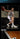 361 BIospeed bb Heren Basketbalschoenen Carbon Plate Stabiel Ademend Licht Rebound Antislip Professionele Heren Sneakers 672511114